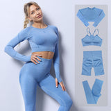 Yoganix 2PCS Seamless Yoga Set Women Tracksuit  Workout Sportswear