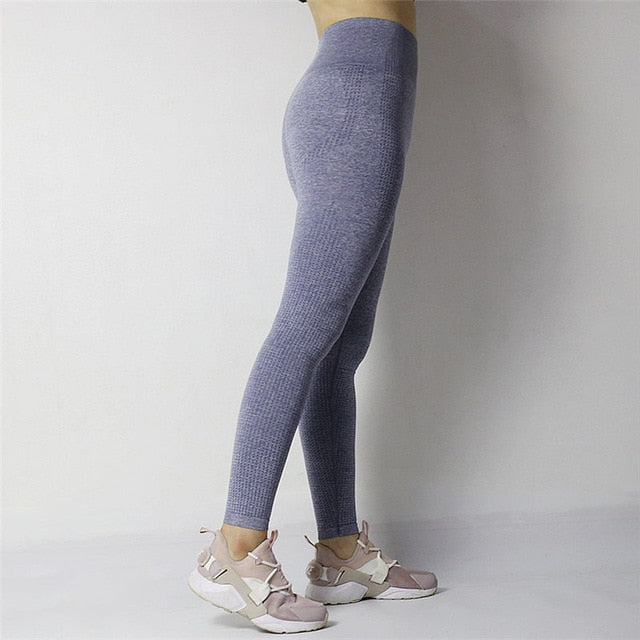 Yoganix Fitness 2018 Gym Tights Tummy Control Yoga Pants High Waisted Sport Ombre Seamless Leggings Running Yoga Pants Women - Yoganix Store