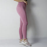Yoganix Fitness 2018 Gym Tights Tummy Control Yoga Pants High Waisted Sport Ombre Seamless Leggings Running Yoga Pants Women - Yoganix Store