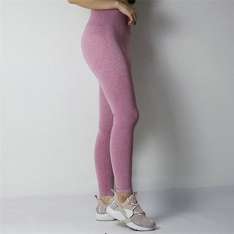 Yoganix Fitness 2018 Gym Tights Tummy Control Yoga Pants High Waisted Sport Ombre Seamless Leggings Running Yoga Pants Women - Yoganix Store